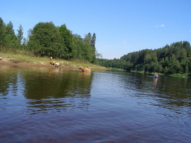 Kanoferie 2008 086.JPG